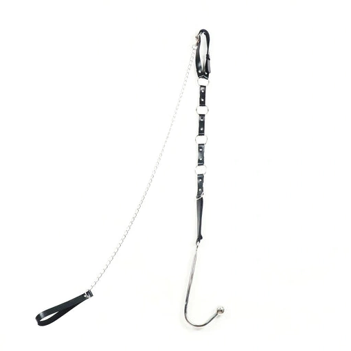 EverydayUse Collar and Anal Hook 5853 with Leash Kinky 0408